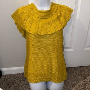 Women’s NWT Women's Anthropologie sleeveless sweater, gorgeous, sz L